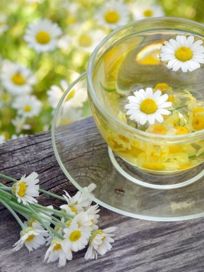 Papatya Çayı 50 gr